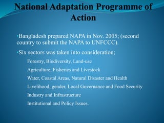 •Bangladesh prepared NAPA in Nov. 2005; (second
country to submit the NAPA to UNFCCC).
•Six sectors was taken into consideration;
–Forestry, Biodiversity, Land-use
–Agriculture, Fisheries and Livestock
–Water, Coastal Areas, Natural Disaster and Health
–Livelihood, gender, Local Governance and Food Security
–Industry and Infrastructure
–Institutional and Policy Issues.
 