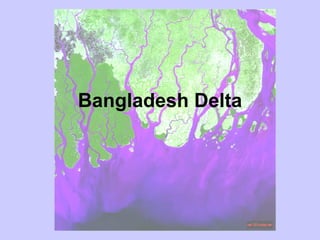 Bangladesh Delta 