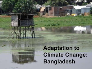 Adaptation to Climate Change: Bangladesh 