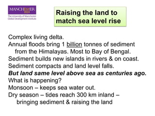 Raising the land to
match sea level rise
Complex living delta.
Annual floods bring 1 billion tonnes of sediment
from the Himalayas. Most to Bay of Bengal.
Sediment builds new islands in rivers & on coast.
Sediment compacts and land level falls.
But land same level above sea as centuries ago.
What is happening?
Monsoon – keeps sea water out.
Dry season – tides reach 300 km inland –
bringing sediment & raising the land
 
