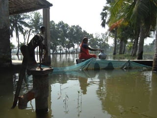 Ideally images
• Should fill the screen
• With minimum or no text
 