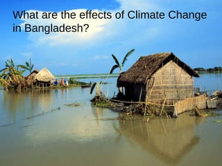 What are the effects of Climate Change in Bangladesh? 