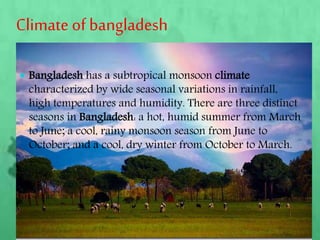 Climate of bangladesh
 Bangladesh has a subtropical monsoon climate
characterized by wide seasonal variations in rainfall,
high temperatures and humidity. There are three distinct
seasons in Bangladesh: a hot, humid summer from March
to June; a cool, rainy monsoon season from June to
October; and a cool, dry winter from October to March.
 