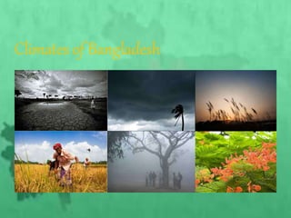 Climates of Bangladesh
 
