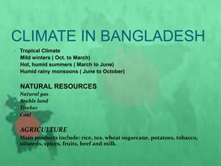 CLIMATE IN BANGLADESH
 Tropical Climate
- Mild winters ( Oct. to March)
- Hot, humid summers ( March to June)
- Humid rainy monsoons ( June to October)
- NATURAL RESOURCES
 Natural gas
 Arable land
 Timber
 Coal
AGRICULTURE
 Main products include: rice, tea, wheat sugarcane, potatoes, tobacco,
oilseeds, spices, fruits, beef and milk.
 