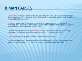    Deforestation may be partly to blame, stripping the land bare of the vital top soil
    which slows and drains water. This causes soil erosion which reduces the ability of
    the land to absorb water.

   Irrigation for farming is a factor, because this causes river channels to silt up,
    reducing their capacity to hold flood waters. According to some experts, irrigation
    interferes with river drainage into the sea.

   Climate experts also believe global warming is partly to blame, by increasing
    monsoon rainfall and speeding up the melting of Himalayan snows.

   Urbanisation leads to less infiltration and increased runoff.

   Dam building in India has slowed down water running through Bangladesh. This
    leads to more deposition in the river channel and less room for water!
 