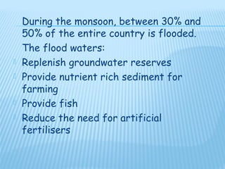 During the monsoon, between 30% and
    50% of the entire country is flooded.
    The flood waters:
   Replenish groundwater reserves
   Provide nutrient rich sediment for
    farming
   Provide fish
   Reduce the need for artificial
    fertilisers
 