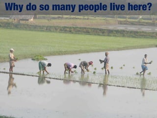 Why do so many people live here?
 