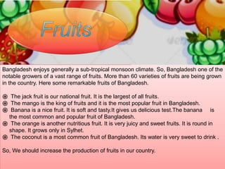 Bangladesh enjoys generally a sub-tropical monsoon climate. So, Bangladesh one of the
notable growers of a vast range of fruits. More than 60 varieties of fruits are being grown
in the country. Here some remarkable fruits of Bangladesh.
֍ The jack fruit is our national fruit. It is the largest of all fruits.
֍ The mango is the king of fruits and it is the most popular fruit in Bangladesh.
֍ Banana is a nice fruit. It is soft and tasty.It gives us delicious test.The banana is
the most common and popular fruit of Bangladesh.
֍ The orange is another nutritious fruit. It is very juicy and sweet fruits. It is round in
shape. It grows only in Sylhet.
֍ The coconut is a most common fruit of Bangladesh. Its water is very sweet to drink .
So, We should increase the production of fruits in our country.
 