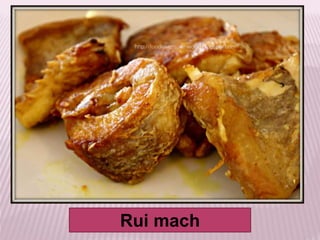 Rui mach
 