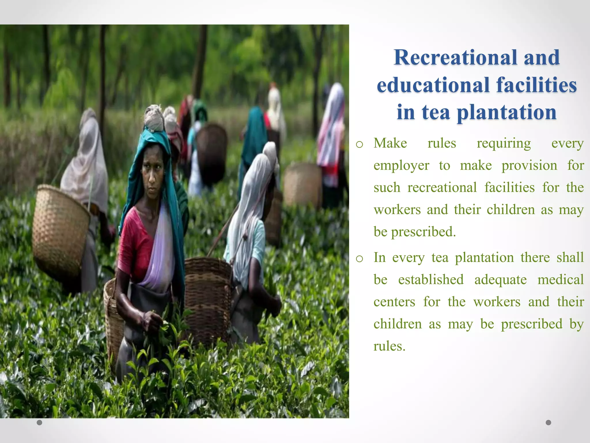 bangladesh-labour-law-act-2006-ppt