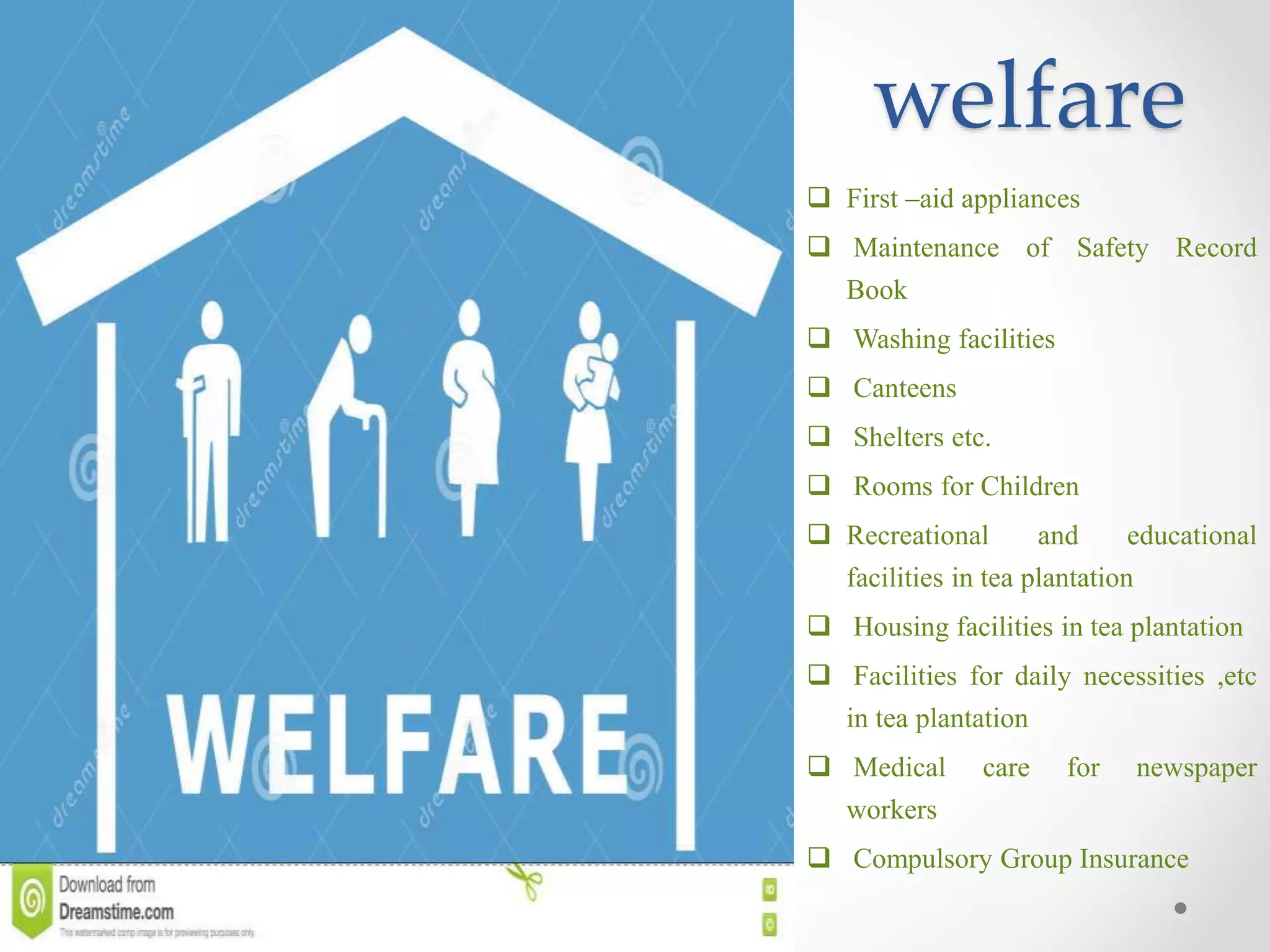 Labour Law Act 2006