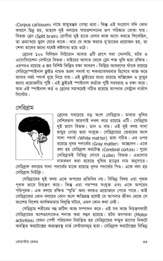33
†Kvqv›Uvg †g_W
(Corpus callosum) bv‡g øvqyZš‘i †MvQv Øviv| wKš‘ GB ms‡hvM hw` †Kvb
Kvi‡Y wQbœ nq, Zvn‡j `yB ej‡qi ¯^vqËkvm‡bi iƒc cwi®‹vi †evSv hvq|
wef³ †eªb (Split brain) †ivMxiv `yB nv‡Z †hme KvR Av‡M Ki‡Z wk‡LwQj,
Zv µgvš^‡q fy‡j †h‡Z _v‡K| Avi †h KvR Ki‡Z `yÕnv‡Zi cÖ‡qvRb nq, Zv
†kLv Zv‡`i R‡b¨ h‡_ó Kómva¨ n‡q I‡V|
†eª‡bi 100 wewjqb wbD‡ivb Avevi 3wU MÖ“‡c h_v †mbmwi, gUi I
G‡mvwm‡qkb †m›Uv‡i wef³| evB‡ii AvNvZ †_‡K †eªb k³ Lywj Øviv iw¶Z|
GiciI i‡q‡Q 3 ¯—i wewkó wSwj-i i¶v AveiY| wSwj-i Avei‡Yi duv‡K i‡q‡Q
†mwi‡eªv¯úvBbvj d¬zBW bvgK Zij c`v_© hv kKA¨vemievi wn‡m‡e KvR K‡i
Avevi eR©¨ c`v_© ay‡q wb‡q hvq| GB d¬zB‡Wi g‡a¨ i‡q‡Q Aw·‡Rb I mœvqyi
R‡b¨ cÖ‡qvRbxq cywó| GB d¬zBWB ¯úvBbvj KW©‡K cywó mieivn I i¶v K‡i|
Avi GB ¯úvBbvj KW© I †eª‡bi mgš^‡qB MwVZ n‡q‡Q Avcbvi †m›Uªvj bvf©vm
wm‡÷g|
†mwieªvg
†eª‡bi me‡P‡q eo Ask †mwieªvg| gv_vi Lywji
†ewkifvM RvqMvB `Lj K‡i i‡q‡Q GwU| †mwieªvg
`yB fv‡M wef³| Wvb I evg| GB `yB ejq mv`v
øvqyi †MvQv Øviv mshy³| †mwieªv‡gi †fZ‡ii Ask
mv`v c`v_© (White mat ter) Øviv MwVZ| Gi Ici
i‡q‡Q a~mi c`v‡_©i (Gray matter) Av”Qv`b| G‡K
ejv nq †mwieªvj Ki‡U· (Cerebral cortex)| cy‡iv
†mwieªvgB wewfbœ †jv‡e (Lobe) wef³| G¸‡jvi
bvgKiY Kiv n‡q‡Q Lywji nv‡oi bvg Abymv‡i|
†mwieªvj ej‡qi mv`v c`v‡_©i gv‡S i‡q‡Q a~mi c`v‡_©i wcÊ| G‡K ejv nq
†mwieªvj wbDwK¬|
†mwieªv‡gi `yB ejq G‡K Ac‡ii cÖwZwe¤^ bq| wewfbœ welq Giv c„_K
c„_K fv‡e wbqš¿Y K‡i| wKš‘ Giv ci¯úi mshy³ Ges G‡K Ac‡ii
cwic~iK| GK ej‡q iw¶Z Ô¯§„wZÕ Ab¨ ejqI cÖ‡qvR‡b †c‡Z cv‡i| ZvB
†mwieªv‡gi †Kvb ej‡qi †Kvb Ask ¶wZMÖ¯— n‡jB †h Avcbvi Rxeb †_‡K †m
As‡ki we‡kl Kvh©¶gZvi wejywß NU‡e, Ggb †Kvb K_v †bB|
†mwieªvg kix‡ii eû RwUj KvR m¤úv`b K‡i| GB me KvR wbqš¿YKvix
†mwieªv‡gi Ask¸‡jv‡KI kbv³ Kiv m¤¢e n‡q‡Q| gUi ZrciZv (Motor
activities) †hgb †ckx cwiPvjb wbqwš¿Z nq †mwieªv‡gi m¤§yL fv‡Mi wbK‡U
Aew¯’Z Ki‡U‡·i Af¨š—i¯’ bvf© †m›Uvimg~n Øviv| †mwieªvj Ki‡U‡·i wewfbœ
 