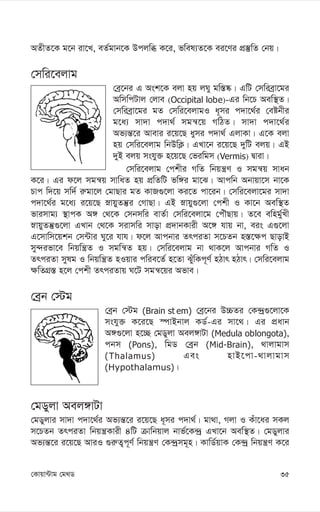 35
†Kvqv›Uvg †g_W
AZxZ‡K g‡b iv‡L, eZ©gvb‡K Dcjwä K‡i, fwel¨Z‡K ei‡Yi cÖ¯‘wZ †bq|
†mwi‡ejvg
†eª‡bi G Ask‡K ejv nq jNy gw¯—®‹| GwU †mwieªv‡gi
AwmwcUvj †jve (Occipital lobe)-Gi wb‡P Aew¯’Z|
†mwieªv‡gi gZ †mwi‡ejvgI a~mi c`v‡_©i †eóbxi
g‡a¨ mv`v c`v_© mgš^‡q MwVZ| mv`v c`v‡_©i
Af¨š—‡i Avevi i‡q‡Q aymi c`v_© GjvKv| G‡K ejv
nq †mwi‡ejvg wbDwK¬| GLv‡b i‡q‡Q `ywU ejq| GB
`yB ejq mshyy³ n‡q‡Q †fiwgm (Vermis) Øviv|
†mwi‡ejvg †ckxi MwZ wbqš¿Y I mgš^q mvab
K‡i| Gi d‡j mgš^q mvwaZ nq cÖwZwU fw½i gv‡S| Avcwb Abvqv‡m bv‡K
Pvc w`‡q mw`© i“gv‡j †gvQvi gZ KvR¸‡jv Ki‡Z cv‡ib| †mwi‡ejv‡gi mv`v
c`v‡_©i g‡a¨ i‡q‡Q øvqyZš‘i †MvQv| GB øvqy¸‡jv †ckx I Kv‡b Aew¯’Z
fvimvg¨ ¯’vcK A½ †_‡K †mbmwi evZ©v †mwi‡ejv‡g †cuŠQvq| Z‡e ewng©yLx
øvqyZš‘¸‡jv GLvb †_‡K mivmwi mvov cÖ`vbKvix A‡½ hvq bv, eis G¸‡jv
G‡mvwm‡qkb †m›Uvi Ny‡i hvh| d‡j Avcbvi ZrciZv m‡PZb n¯—‡¶c QvovB
my›`ifv‡e wbqwš¿Z I mgwš^Z nq| †mwi‡ejvg bv _vK‡j Avcbvi MwZ I
ZrciZv mylg I wbqwš¿Z nIqvi cwie‡Z© n‡Zv SuywKc~Y© nVvr nVvr| †mwi‡ejvg
¶wZMÖ¯— n‡j †ckx ZrciZvq N‡U mgš^‡qi Afve|
†eªb †÷g
†eªb †÷g (Brain st em) †eª‡bi D”PZi †K›`ª¸‡jv‡K
mshy³ K‡i‡Q ¯úvBbvj KW©-Gi mv‡_| Gi cÖavb
A½¸‡jv n‡”Q †gWyjv Aej½vUv (Medula oblongota),
cbm (Pons), wgW †eªb (Mid-Brain), _vjvgvm
(Thalamus) Ges nvB‡cv-_vjvgvm
(Hypothalamus)|
†gWyjv Aej½vUv
†gWyjvi mv`v c`v‡_©i Af¨š—‡i i‡q‡Q a~mi c`v_©| gv_v, Mjv I Kuv‡ai mKj
m‡PZb ZrciZv wbqš¿Kvix 4wU µvwbqvj bvf©‡K›`ª GLv‡b Aew¯’Z| †gWyjvi
Af¨š—‡i i‡q‡Q AviI ¸i“Z¡c~Y© wbqš¿Y †K›`ªmg~n| KvwW©qvK †K›`ª wbqš¿Y K‡i
 
