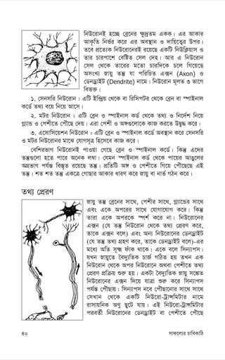 mvd‡j¨i PvweKvwV
40
wbD‡ivbB n‡”Q †eª‡bi ¶z`ªZg GKK| Gi AvKvi
AvK…wZ wbf©i K‡i Gi Ae¯’vb I `vwq‡Z¡i Dci|
Z‡e cÖ‡Z¨K wbD‡iv‡biB i‡q‡Q GKwU wbDwK¬qvm I
Zvi Pvicv‡k †ewóZ †mj †`n| Avi G wbD‡ivb
†mj †_‡K Zv‡ii g‡Zv Pviw`‡K P‡j wM‡q‡Q
AmsL¨ øvqy Zš‘ hv cwiwPZ G·b (Axon) I
†WbWªvBU (Dendrite) bv‡g| wbD‡ivb g~jZ 3 fv‡M
wef³|
1. †mbmwi wbD‡ivb : GwU Bw›`ªq †_‡K ev wiwmcUi †_‡K †eªb ev ¯úvBbvj
K‡W© Z_¨ e‡q wb‡q Av‡m|
2. gUi wbD‡ivb : GwU †eªb I ¯úvBbvj KW© †_‡K Z_¨ I wb‡`©k wb‡q
M-¨vÛ I †ckx‡Z †cuŠ‡Q †`q| Giv †ckx I A½¸‡jv‡K KvR Ki‡Z DØy× K‡i|
3. G‡mvwm‡qkb wbD‡ivb : GwU †eªb I ¯úvBbvj K‡W© Ae¯’vb K‡i †mbmwi
I gUi wbD‡ivbi gv‡S †hvMm~Î wn‡m‡e KvR K‡i|
†ewkifvM wbD‡ivbB cvIqv †M‡Q †eªb I ¯úvBbvj K‡W©| wKš‘ G‡`i
Zš‘¸‡jv n‡Z cv‡i A‡bK j¤^v| †hgb ¯úvBbvj KW© †_‡K cv‡qi AvOy‡ji
AMÖfvM ch©š— we¯—„Z i‡q‡Q Zš‘| cÖwZwU A½ I †ckx‡Z wM‡q †cuŠ‡Q‡Q GB
Zš‘| kZ kZ Zš‘ GK‡Î †MvQvi AvKvi aviY K‡i øvqy ev bvf© MVb K‡i|
Z_¨ †cÖiY
øvqy Zš‘ †eª‡bi mv‡_, †ckxi mv‡_, M-¨v‡Ûi mv‡_
Ges G‡K Ac‡ii mv‡_ †hvMv‡hvM K‡i| wKš‘
Zviv G‡K Aci‡K ¯úk© K‡i bv| wbD‡iv‡bi
G·b (†h Zš‘ wbD‡ivb †_‡K Z_¨ †cÖiY K‡i,
Zv‡K G·b e‡j) Ges Ab¨ wbD‡iv‡bi †WbWªvBU
(†h Zš‘ Z_¨ MÖnY K‡i, Zv‡K †WbWªvBU e‡j)-Gi
g‡a¨ AwZ m~² duvK _v‡K| G‡K e‡j wmb¨vcm|
hLb øvqy‡Z ˆe`y¨wZK PvR© MwVZ nq ZLb GK
wbD‡ivb †_‡K Aci wbD‡iv‡b A_ev †ckx‡Z Z_¨
†cÖiY cÖwµq ïi“ nq| GKUv ˆe`y¨wZK øvqy m‡¼Z
wbD‡iv‡bi G·b w`‡q hvÎv ïi“ K‡i wmb¨vcm
ch©š— †cuŠQvq| wmb¨vcm b‡e †cuŠQv‡bvi mv‡_ mv‡_
†mLvb †_‡K GKwU wbD‡iv-UªvÝwgUvi bv‡g
ivmvqwbK AYy Qy‡U hvq| GB wbD‡iv-UªvÝwgUvi
cieZ©x wbD‡iv‡bi †WbWªvBU ev †ckx‡Z †cuŠ‡Q
 