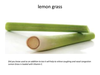 lemon grass




Did you know used as an addition to tea it will help to relieve coughing and nasal congestion
Lemon Grass is loaded with Vitamin C.
 