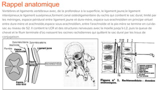Rappel anatomique
Vertèbres et ligaments vertébraux avec, de la profondeur à la superficie, le ligament jaune,le ligament
interépineux,le ligament susépineux,forment canal ostéoligamentaire du rachis qui contient le sac dural, limité par
les méninges, espace péridural entre ligament jaune et dure-mère, espace sus-arachnoïdien en principe virtuel
entre dure-mère et arachnoïde,espace sous-arachnoïdien, entre l'arachnoïde et la pie-mère se termine en cul-de-
sac au niveau de S2. Il contient le LCR et des structures nerveuses avec la moelle jusqu'à L2, puis la queue de
cheval et le filum terminale d'où naissent les racines rachidiennes qui quittent le sac dural par les trous de
conjugaison.
 
