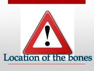 Location of the bones 
 