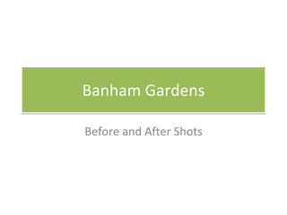 Banham Gardens Before and After Shots 