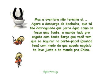 Mas a aventura não termina aí...  Agora a descarga do banheiro, que tá tão desregulada que jorra água como se fosse uma fonte, e manda tudo pro esgoto com tanta força que você tem que se segurar no porta-papel (quando tem) com medo de que aquele negócio te leve junto e te mande pra China. 
