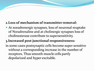 2.Loss of mechanism of transmitter removal:
 At noradrenergic synapses, loss of neuronal reuptake
of Noradrenaline and at cholinergic synapses loss of
cholinesterase contribute to supersensitivity.
3.Increased post junctional responsiveness:
in some cases postsynaptic cells become super sensitive
without a corresponding increase in the number of
receptors. Thus smooth muscle cells partly
depolarized and hyper excitable.
 