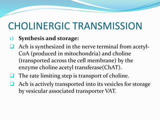 CHOLINERGIC TRANSMISSION
1) Synthesis and storage:
 Ach is synthesized in the nerve terminal from acetyl-
CoA (produced in mitochondria) and choline
(transported across the cell membrane) by the
enzyme choline acetyl transferase(ChAT).
 The rate limiting step is transport of choline.
 Ach is actively transported into its vesicles for storage
by vesicular associated transporter VAT.
 