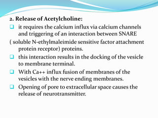 2. Release of Acetylcholine:
 it requires the calcium influx via calcium channels
and triggering of an interaction between SNARE
( soluble N-ethylmaleimide sensitive factor attachment
protein receptor) proteins.
 this interaction results in the docking of the vesicle
to membrane terminal.
 With Ca++ influx fusion of membranes of the
vesicles with the nerve ending membranes.
 Opening of pore to extracellular space causes the
release of neurotransmitter.
 