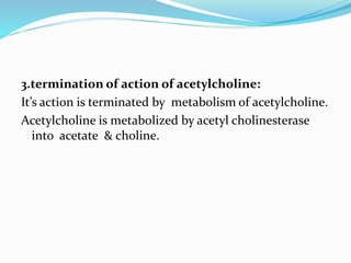 3.termination of action of acetylcholine:
It’s action is terminated by metabolism of acetylcholine.
Acetylcholine is metabolized by acetyl cholinesterase
into acetate & choline.
 