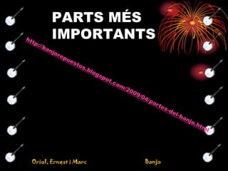 PARTS MÉS IMPORTANTShttp://banjorepuestos.blogspot.com/2009/04/partes-del-banjo.html