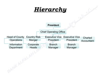 Hierarchy President Chief Operating Office Head of County  Operations Country Risk Manger Executive Vice President Executive Vice President Charted Accountant Information Department Corporate Heads Branch Manager Branch Manager 