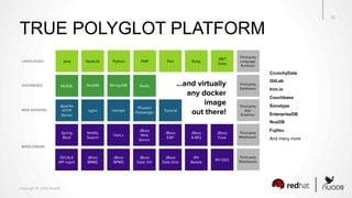 Copyright	©	2018	NuoDB	
15	
TRUE POLYGLOT PLATFORM
LANGUAGES
DATABASES
WEB SERVERS
MIDDLEWARE
CrunchyData
GitLab
Iron.io
Couchbase
Sonatype
EnterpriseDB
NuoDB
Fujitsu
And many more
 
