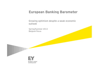 European Banking Barometer: Spring/Summer 2013 - Belgian focus