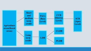 A
Agriculture
areas(Rural
areas)
Short
and
medium
term
credit
Long
term
credit
PACs
(Base
Level)
LDB
CLDB
PLDB
CCB
(District
Level)
SCB
(Apex
Level)
 