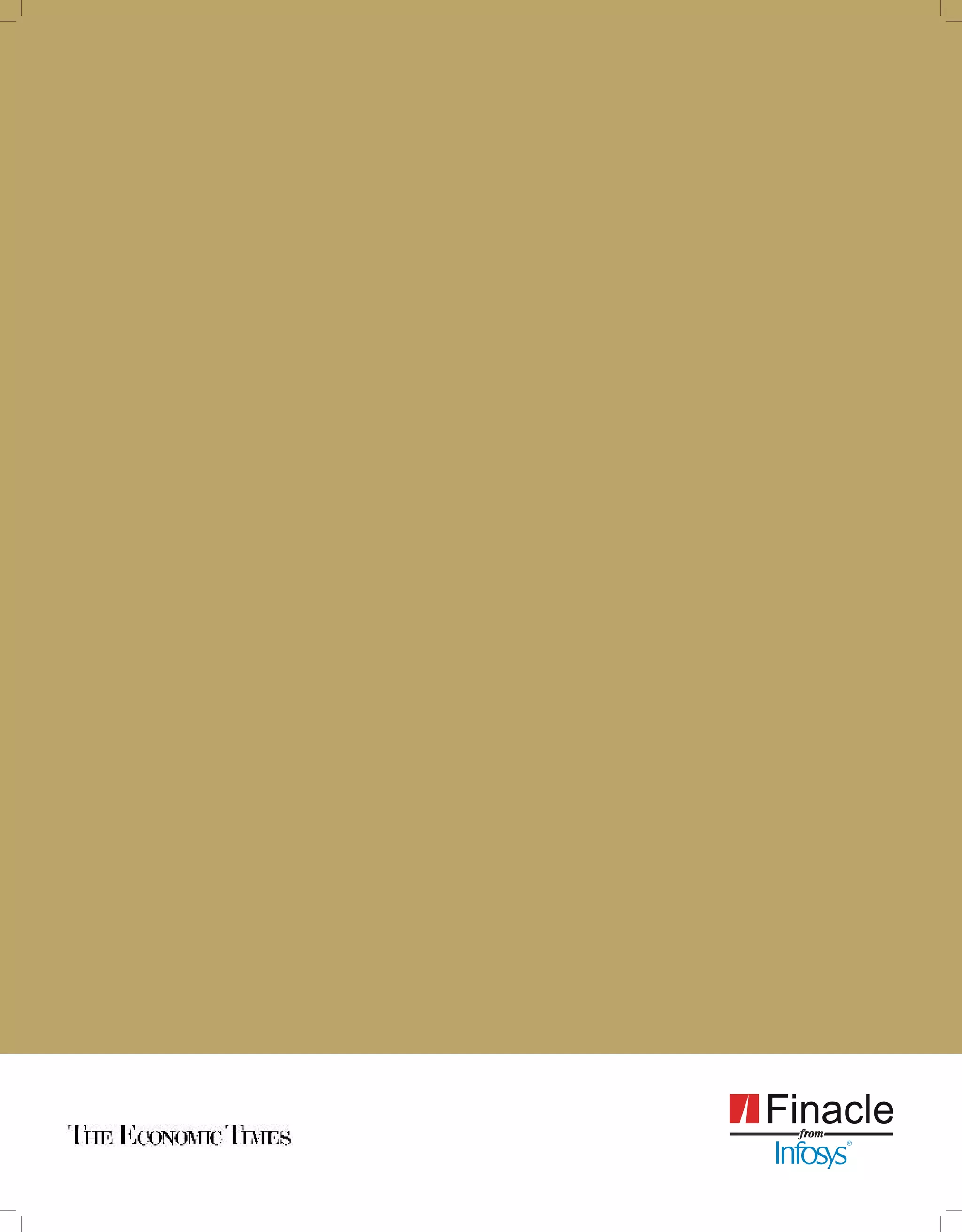 Banking Survey 2009_Innovation Perspectives