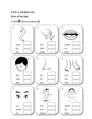 UNIT 1: OURSELVES
Parts of the Body
A. Tick  the correct answers.
3.
mouth
toe
hand
3.
mouth
toe
hand
7.
eye
mouth
ear
7.
eye
mouth
ear
9.
mouth
toe
hand
9.
mouth
toe
hand
1.
hand
leg
arm
1.
hand
leg
arm
2.
foot
head
finger
2.
foot
head
finger
5.
eye
ear
nose
5.
eye
ear
nose
4.
hair
neck
knee
4.
hair
neck
knee
6.
toes
feet
arms
6.
toes
feet
arms
8.
foot
arm
fingers
8.
foot
arm
fingers
 