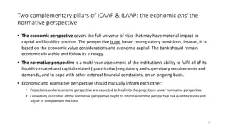 Icaap Risk Taxonomy Risk Management in Banks - Overview (May 2024) | PDF