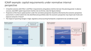 Icaap Risk Taxonomy Risk Management in Banks - Overview (May 2024) | PDF