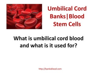 Umbilical Cord
                   Banks|Blood
                    Stem Cells

What is umbilical cord blood
 and what is it used for?


          http://banksblood.com
 