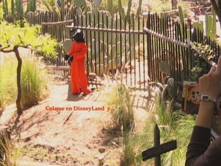 Colarse en DisneyLand y…

 