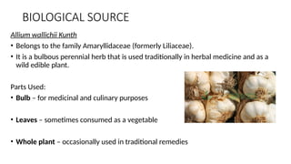 BAN LASUN allium sativum Himalayan herbal medicine | PPTX
