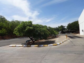 Bannari unit i dindigal