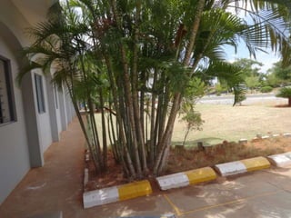 Bannari unit i dindigal