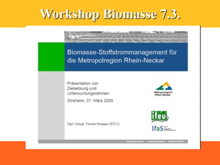 Workshop Biomasse 7.3.
 