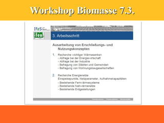 Workshop Biomasse 7.3.
 