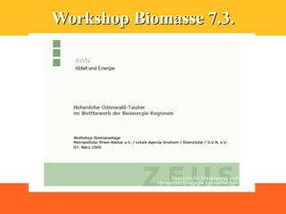 Workshop Biomasse 7.3.
 