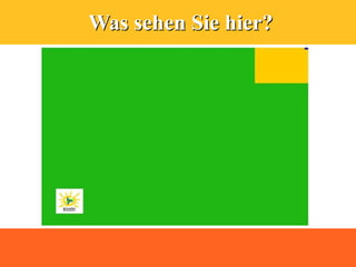 Was sehen Sie hier?
 