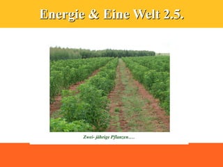 Energie & Eine Welt 2.5.
 