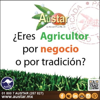 AuStar México.
