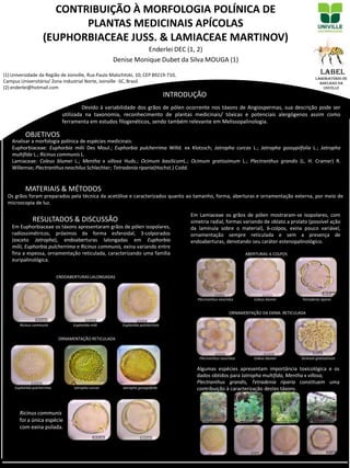 LABEL
CONTRIBUIÇÃO À MORFOLOGIA POLÍNICA DE
PLANTAS MEDICINAIS APÍCOLAS
(EUPHORBIACEAE JUSS. & LAMIACEAE MARTINOV)
Enderlei DEC (1, 2)
Denise Monique Dubet da Silva MOUGA (1)
Devido à variabilidade dos grãos de pólen ocorrente nos táxons de Angiospermas, sua descrição pode ser
utilizada na taxonomia, reconhecimento de plantas medicinais/ tóxicas e potenciais alergógenos assim como
ferramenta em estudos filogenéticos, sendo também relevante em Melissopalinologia.
Analisar a morfologia polínica de espécies medicinais:
Euphorbiaceae: Euphorbia milii Des Moul.; Euphorbia pulcherrima Willd. ex Klotzsch; Jatropha curcas L.; Jatropha gossypiifolia L.; Jatropha
multifida L.; Ricinus communis L.
Lamiaceae: Coleus blumei L.; Mentha x villosa Huds.; Ocimum basilicumL.; Ocimum gratissimum L.; Plectranthus grandis (L. H. Cramer) R.
Willemse; Plectranthus neochilus Schlechter; Tetradenia riparia(Hochst.) Codd.
Os grãos foram preparados pela técnica da acetólise e caracterizados quanto ao tamanho, forma, aberturas e ornamentação externa, por meio de
microscopia de luz.
Em Euphorbiaceae os táxons apresentaram grãos de pólen isopolares,
radiossimétricos, próximos da forma esferoidal, 3-colporados
(exceto Jatropha), endoaberturas lalongadas em Euphorbia
milii, Euphorbia pulcherrima e Ricinus communis, exina variando entre
fina a espessa, ornamentação reticulada, caracterizando uma família
euripalinológica.
ORNAMENTAÇÃO RETICULADA
Em Lamiaceae os grãos de pólen mostraram-se isopolares, com
simetria radial, formas variando de oblato a prolato (possível ação
da lamínula sobre o material), 6-colpos, exina pouco variável,
ornamentação sempre reticulada e sem a presença de
endoaberturas, denotando seu caráter estenopalinológico.
Algumas espécies apresentam importância toxicológica e os
dados obtidos para Jatropha multifida, Mentha x villosa,
Plectranthus grandis, Tetradenia riparia constituem uma
contribuição à caracterização destes táxons.
(1) Universidade da Região de Joinville, Rua Paulo Malschitzki, 10, CEP 89219-710,
Campus Universitário/ Zona Industrial Norte, Joinville -SC, Brasil.
(2) enderlei@hotmail.com
Euphorbia pulcherrima Jatropha curcas Jatropha gossypiifolia
Plectranthus neochilus Coleus blumei Tetradenia riparia
INTRODUÇÃO
OBJETIVOS
MATERIAIS & MÉTODOS
RESULTADOS & DISCUSSÃO
Laboratório de
Abelhas da
UNIVILLE
Euphorbia miliiRicinus communis Euphorbia pulcherrima
ENDOABERTURAS LALONGADAS
Ricinus communis
foi a única espécie
com exina psilada.
Plectranthus neochilus Coleus blumei Ocimum gratissimum
ABERTURAS: 6 COLPOS
ORNAMENTAÇÃO DA EXINA: RETICULADA
Jatropha multifida Mentha x villosa Plectranthus grandis Tetradenia riparia
 