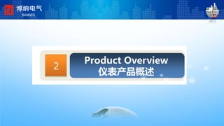 Product Overview
仪表产品概述
2
博纳电气
BANNER
 